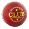 Readers Club Cricket Ball