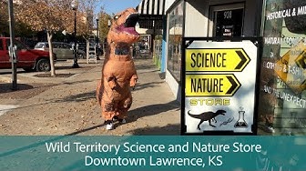 Holiday Ad – T-Rex at Wild Territory